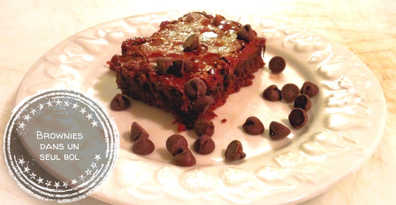 brownies-dans-un-seul-bol-auboutdelalangue-com