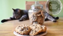 Biscuits aux brisures de chocolat et pacanes - Auboutdelalangue.com