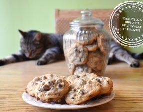 Biscuits aux brisures de chocolat et pacanes - Auboutdelalangue.com